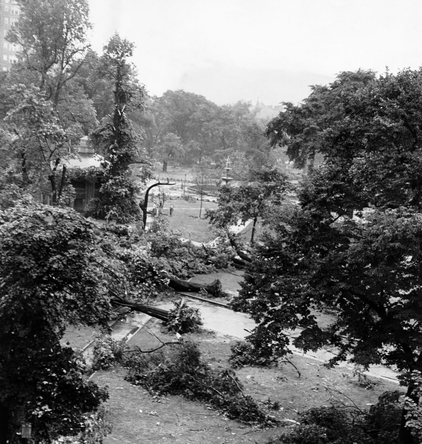Monroe Park